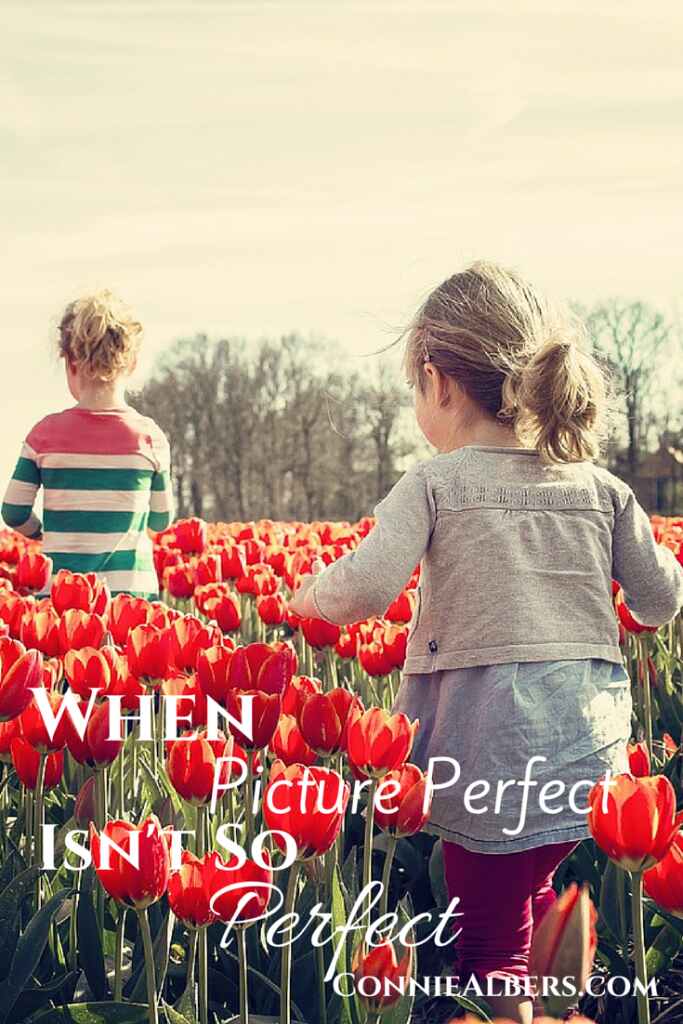When picture perfect isn't so perfect. There is no perfect family. ConnieAlbers.com