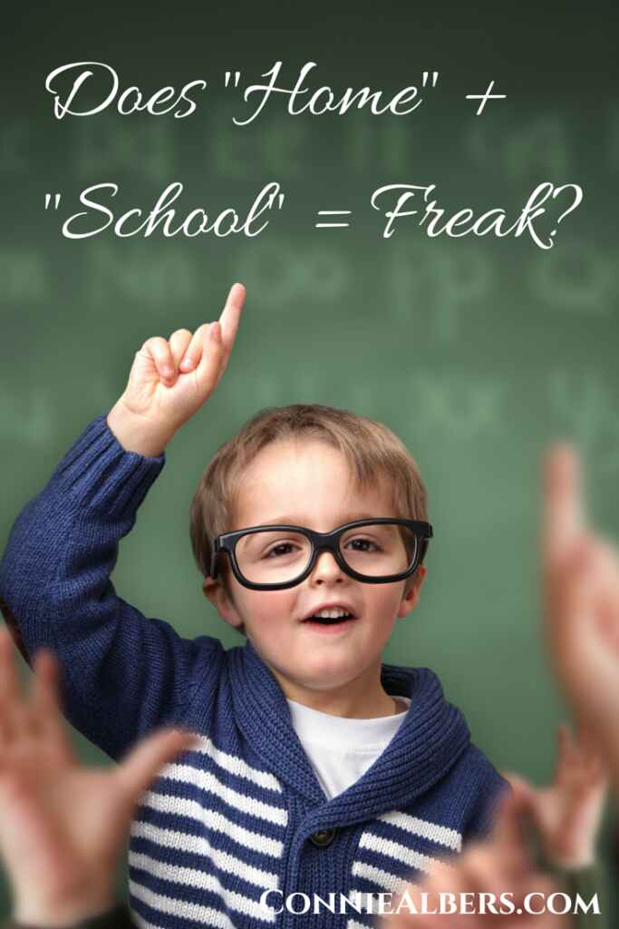 Does "home" + "school" = freak? Hear from a homeschool graduate. ConnieAlbers.com