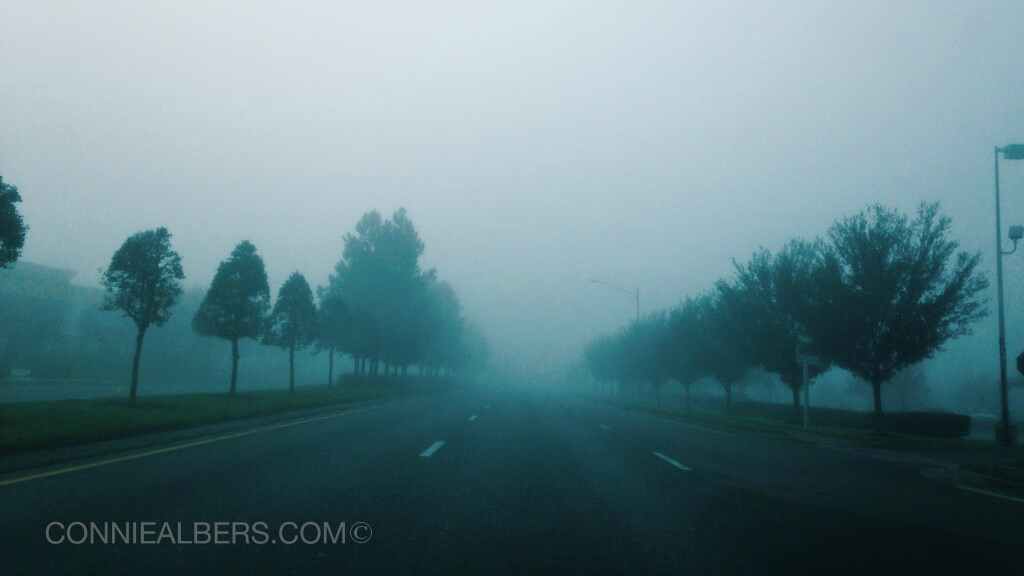 Do Teens Really Have it Easy?